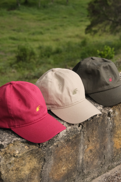 Gorras Frailejón