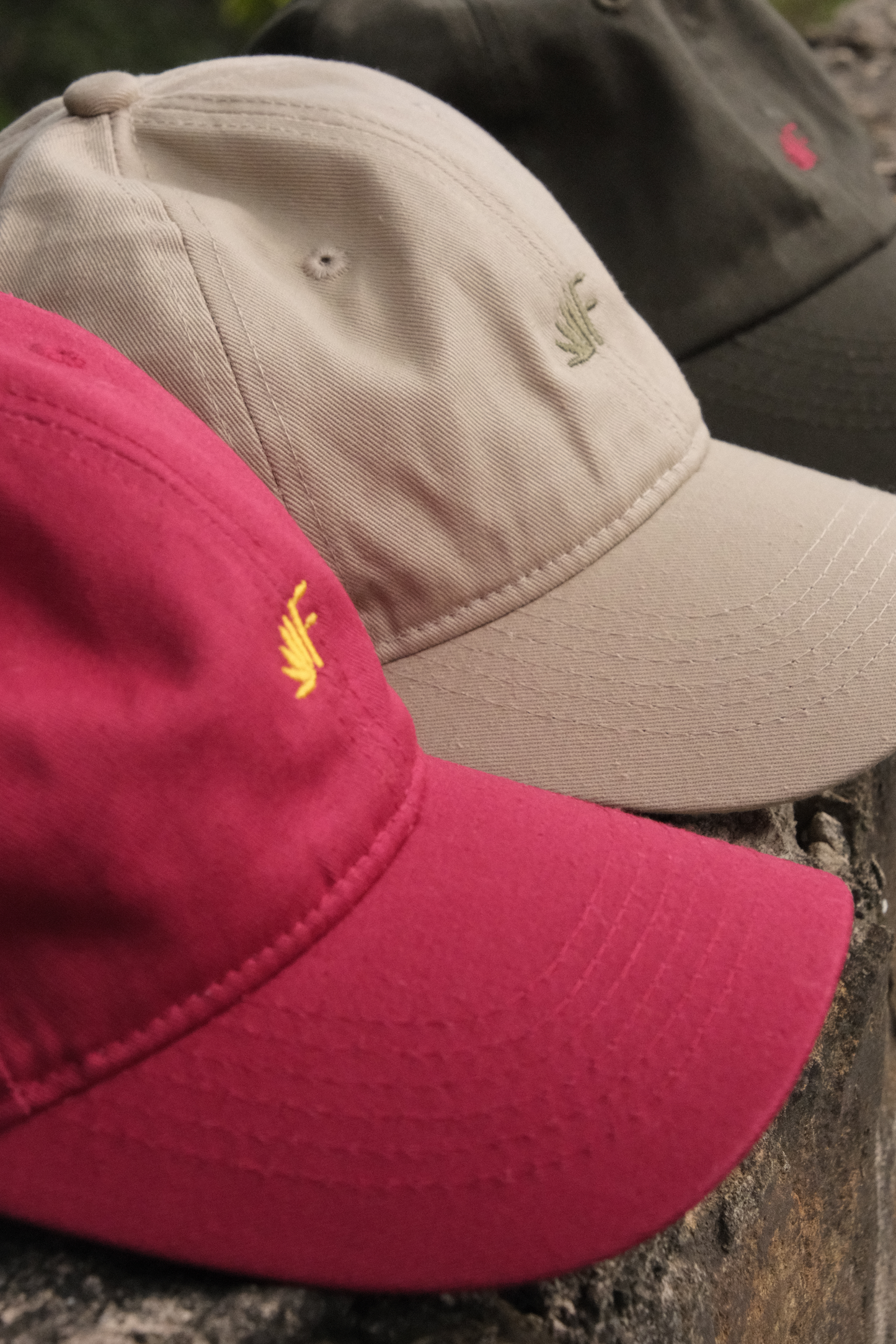 Gorras Frailejón